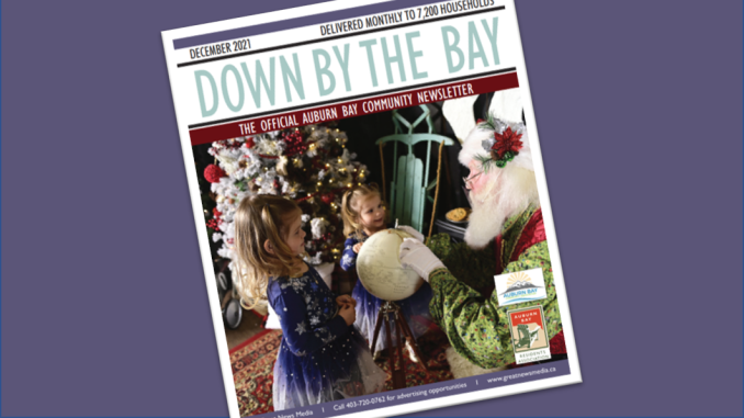 December graphic newsletter